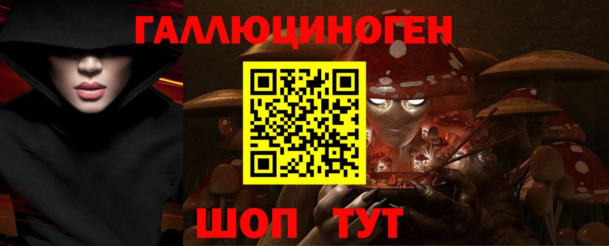 Михайловка  Галлюциногенные грибы ЛСД  Вход с VPN  наркошоп  Псилоцибиновые грибы ЛСД 